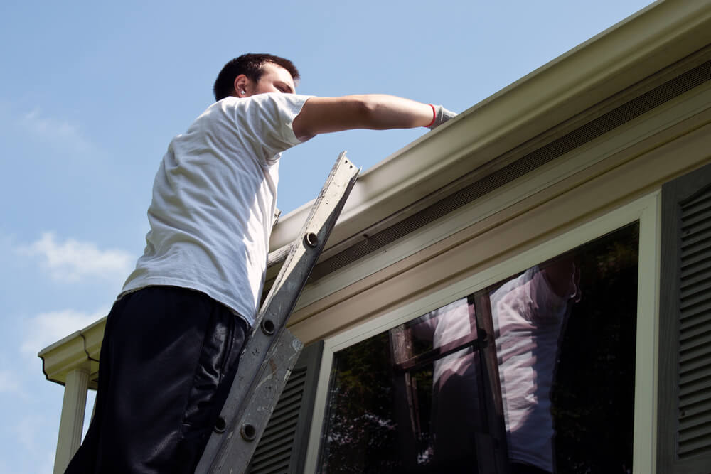 Rain Gutter Cleaning