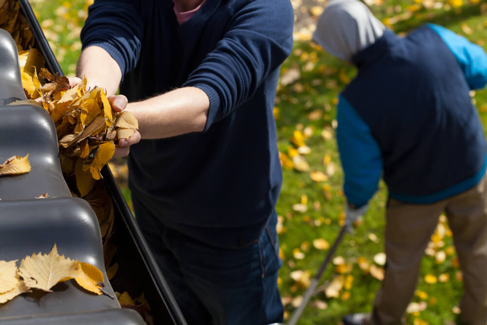 Rain Gutter Cleaning