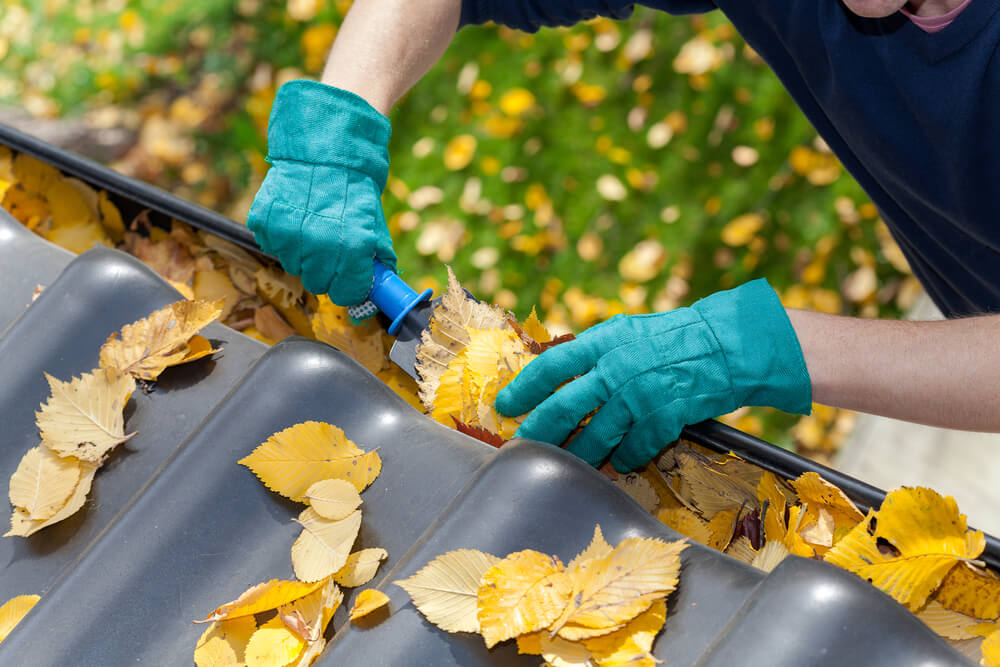 clean your gutters