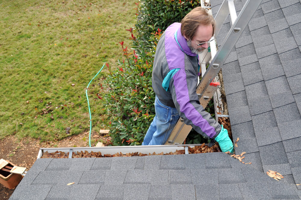 Common Gutter Cleaning Questions 