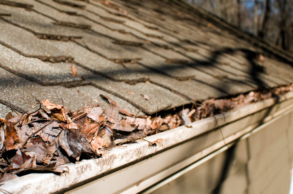 How to Avoid Leaf Blockage in Your Rain Gutters